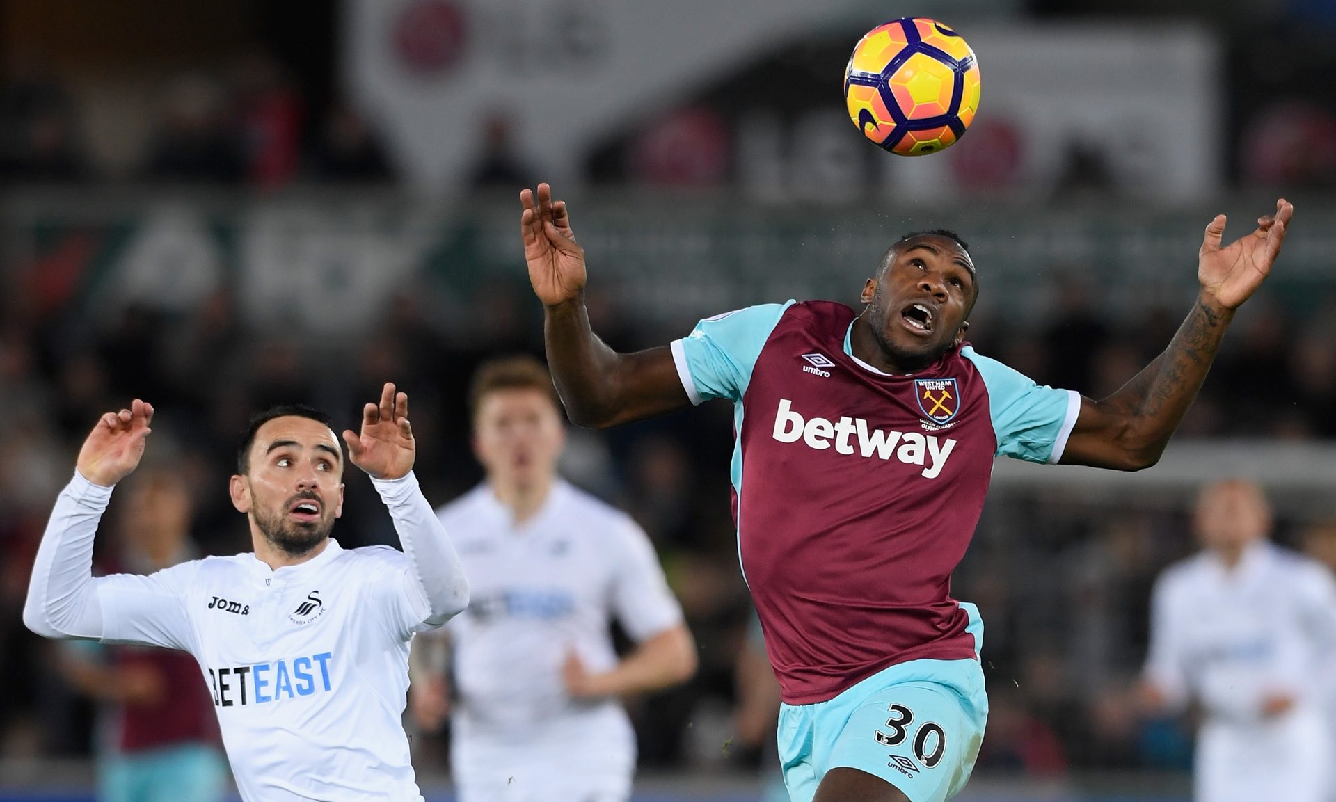 育越来越重 育越来越重